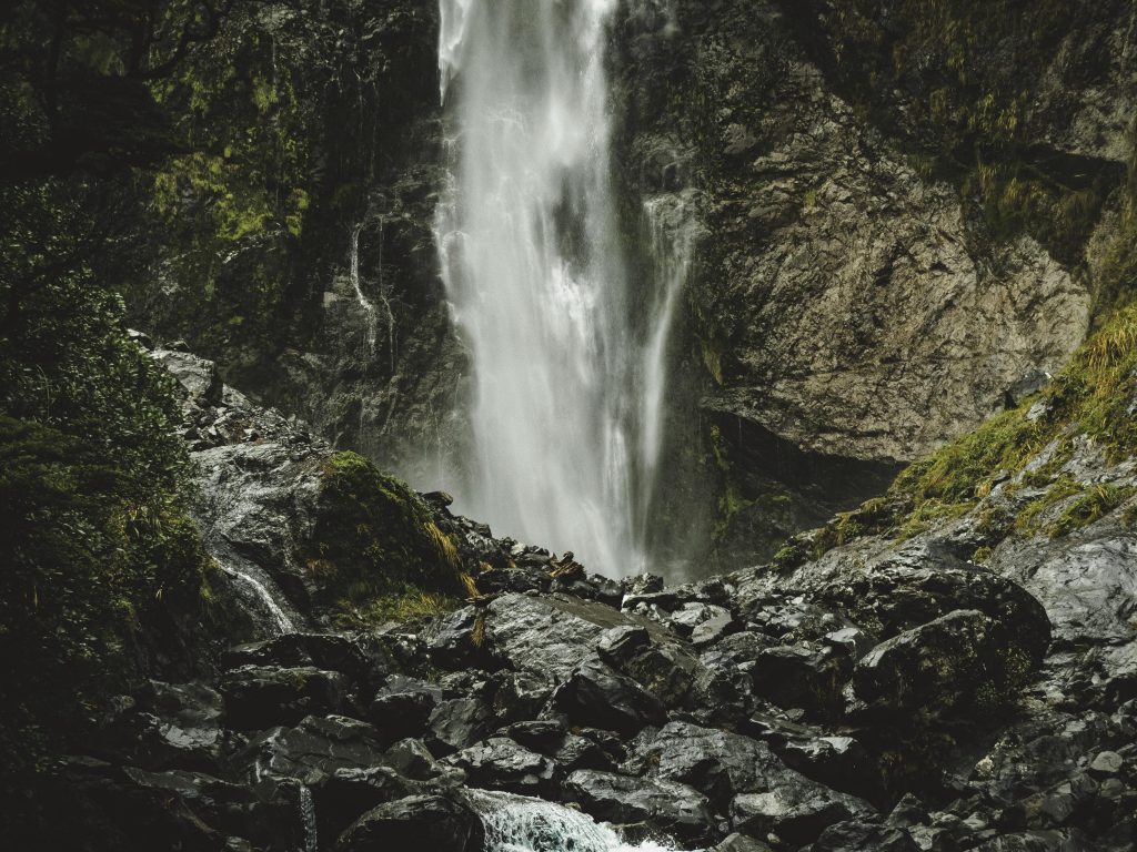 pexels-lastly-555476